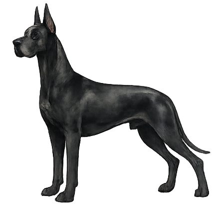 Black Great Dane